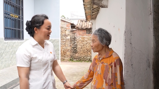 劳模故事·全国劳动模范丨张东花：扎根基层勇奉献 巾帼实干展担当