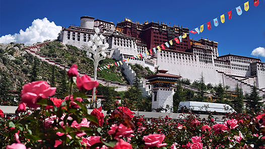 新思想引领新征程｜深入践行新时代党的治藏方略 奋力谱写雪域高原新篇章