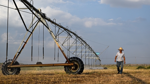 活力中国调研行｜内蒙古阿拉善：生态修复 阻沙入河