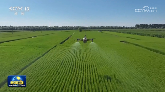 新思想引领新征程丨保护好黑土地 筑牢国家粮食安全根基