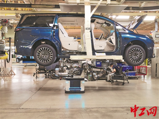 3109784_tpzz_1756133763388_b