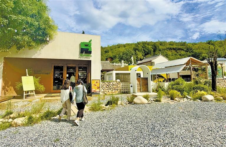 11305790_efb2bf66-27ab-4290-a430-c9cb348fbec8