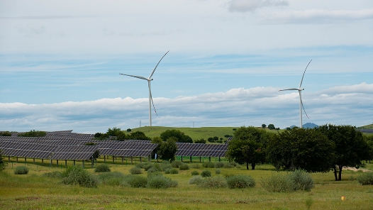 活力中国调研行｜沙海翻碧浪 绿业兴北疆
