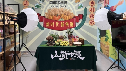 云南西双版纳党工共建驿站织密“15分钟服务圈”