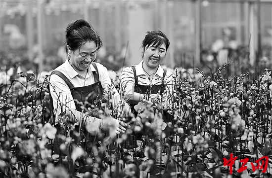 3112395_tpzz_1756365436328_b