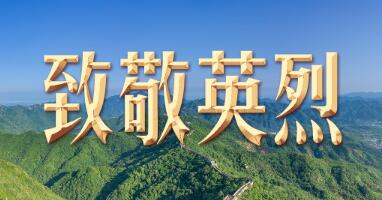 习言道｜登上天安门城楼，习近平这个动作令人动容