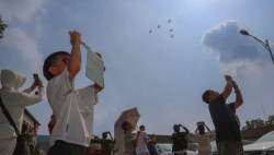 一首《强军战歌》的时间，带你回顾九三阅兵的高燃瞬间