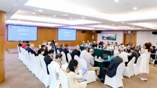 中外人士共话“宋庆龄与伟大抗战”