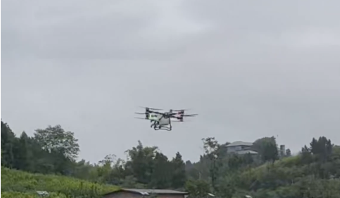 活力中国调研行丨海龙凯歌“上天入地”，打造沉浸式三维乡村旅游体验