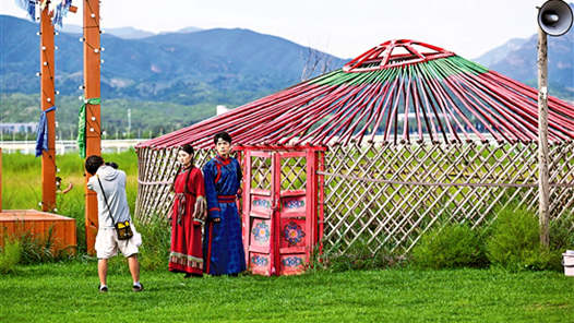 活力中国调研行｜小草之“微”，解生态之“巨”