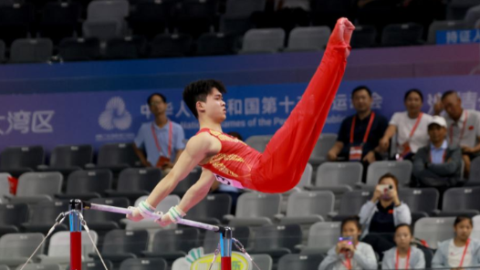 十五运会体操青年组 杨兰斌摘男子全能金牌