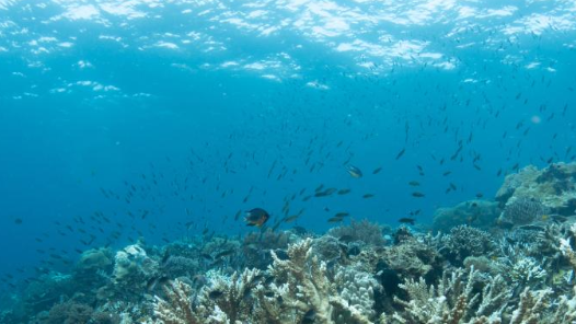 高质量完成“十四五”规划丨我国海洋生产总值已突破10万亿元