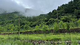 连续报道·报效祖国 建功西部丨用心里的火，点亮梦想的灯