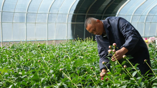 在工友创业园，日子越过越旺