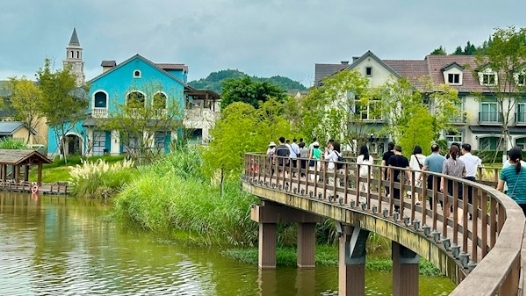 活力中国调研行丨稻田里长出新风景 四川乡村文旅活力迸发