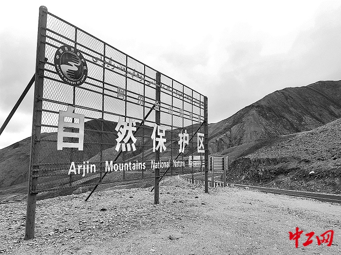 3136555_tpzz_1757987533098_b