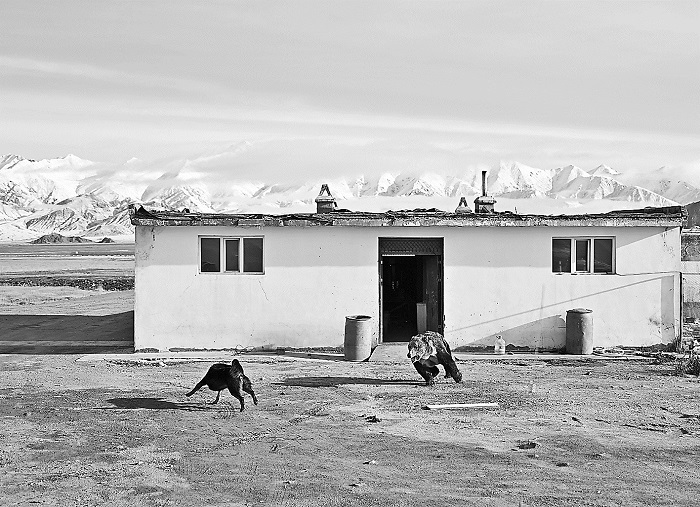 3136552_tpzz_1757987278651_b