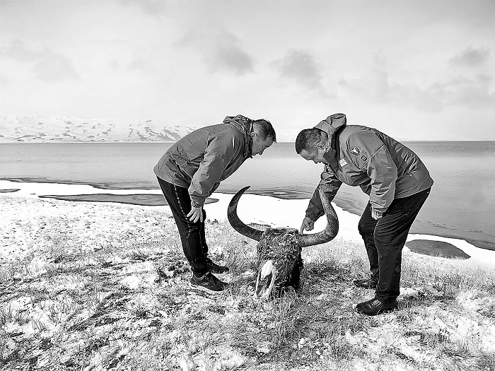 3136554_tpzz_1757987444560_b