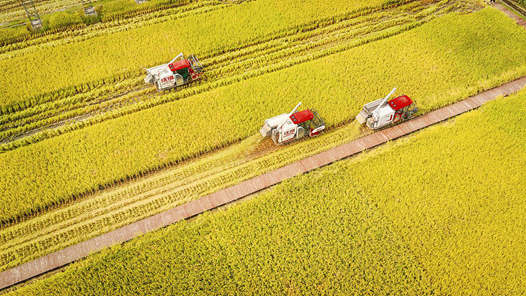 “十四五”时期我国粮食产量迈上新台阶