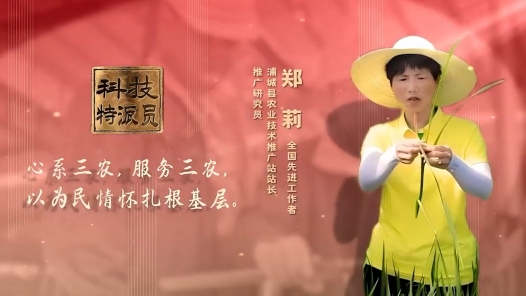 劳模故事·全国先进工作者丨郑莉：深耕垄亩 科技兴农步不停