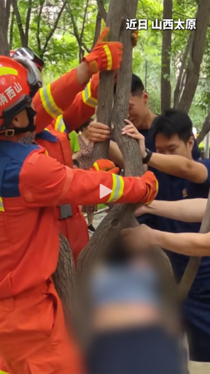 女子公园玩耍被卡树杈，无法脱困求助消防员