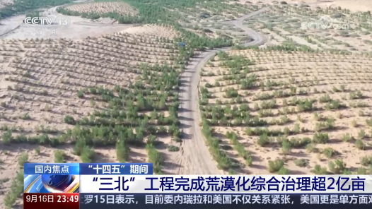 “十四五”期间 “三北”工程完成荒漠化综合治理超2亿亩