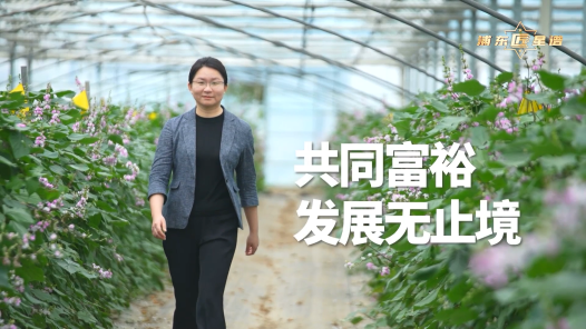 劳模故事·全国农业劳动模范丨王黎娜：共同富裕发展无止境
