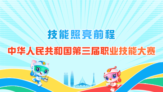 第三届全国技能大赛
