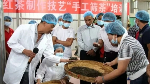 云南凤庆县以“盟”为媒赋能产改促发展