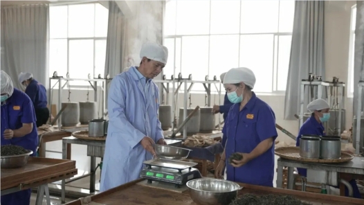 云南永德县产改联合体激活茶产业发展新动能