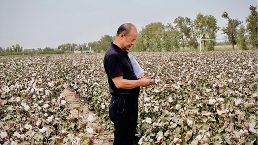 中国梦·大国工匠篇丨练文明：“种”出来的劳模工匠