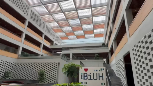 活力中国调研行｜在海南当“留学生”是一种什么样的体验？