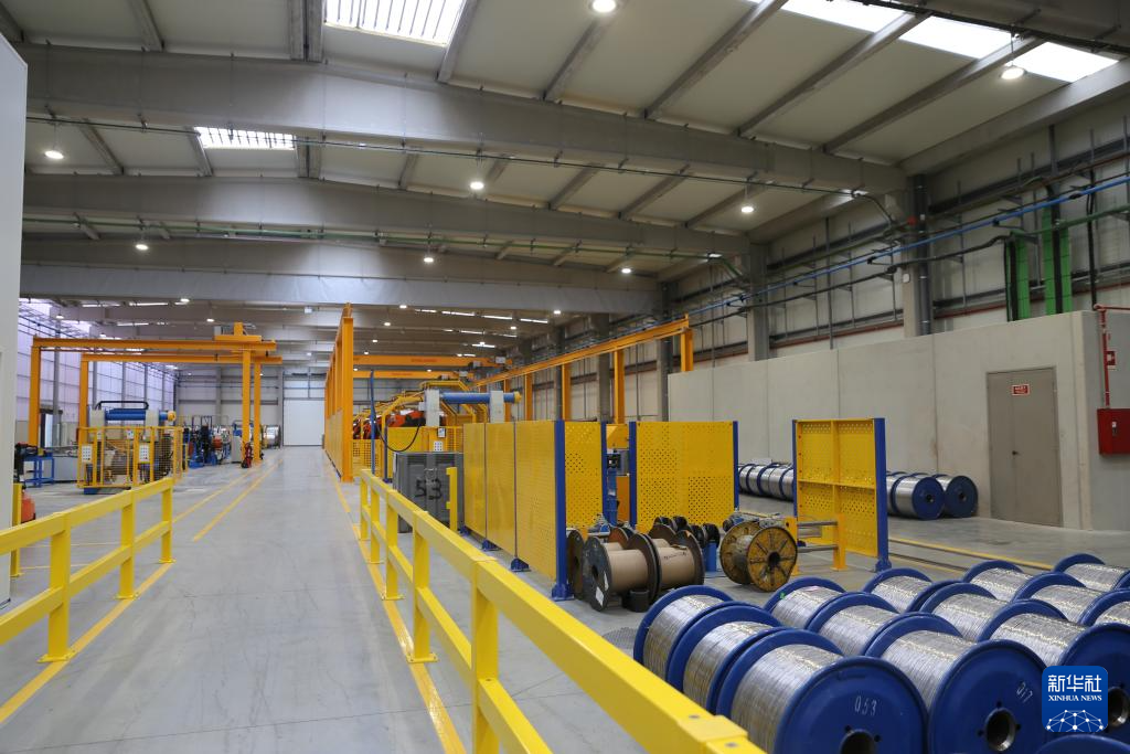 20251004_202455_002 20251004_202455_002