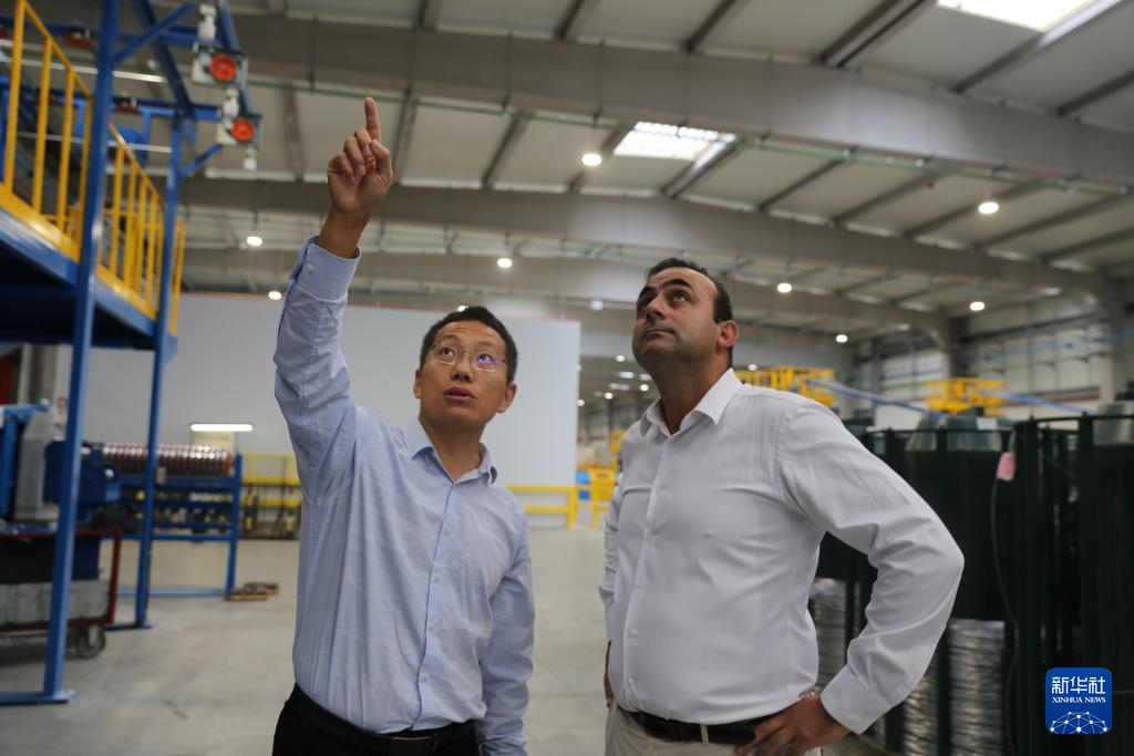 20251004_202455_003 20251004_202455_003