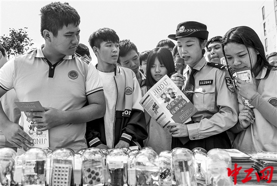 3155947_tpzz_1759216897065_b