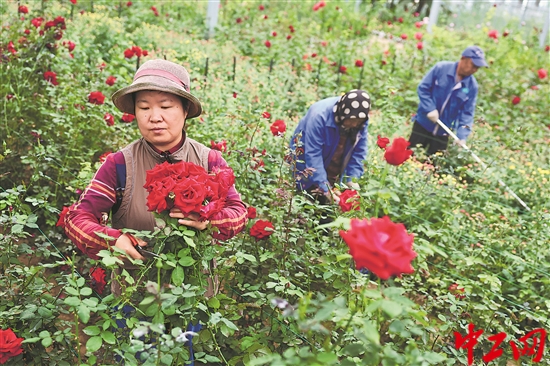 3162494_tpzz_1760063376647_b