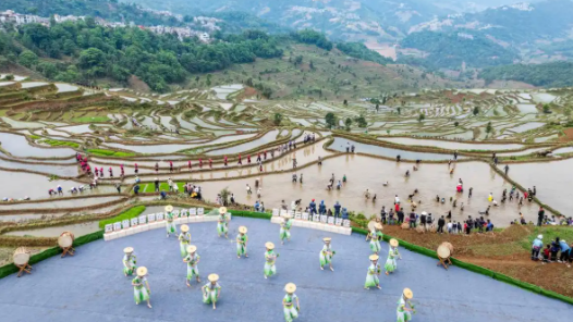 梯田边的“新农人”