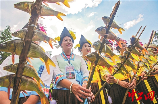 3162621_tpzz_1760064316846_b 3162621_tpzz_1760064316846_b