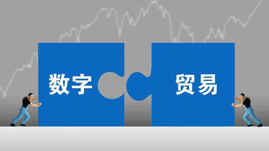 活力中国调研行丨“一根网线卖全球”的活力密码