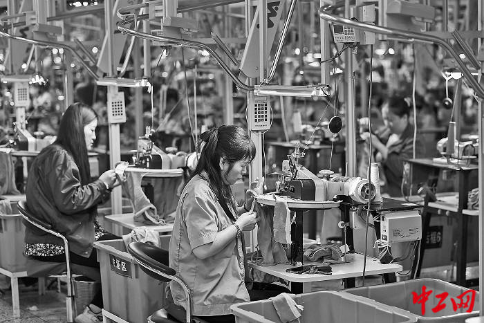 3165551_tpzz_1760339017724_b