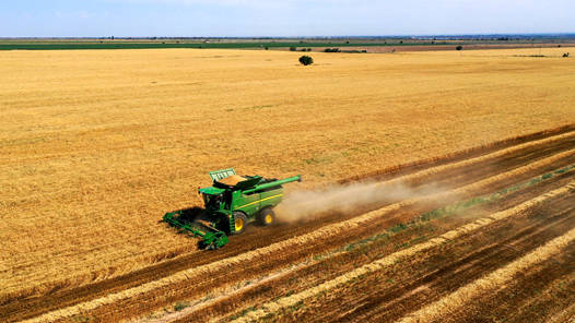 “十四五”时期我国年均粮食收购量在4亿吨以上