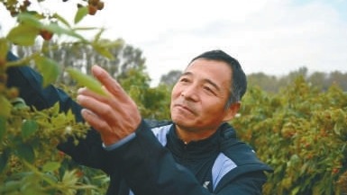 扎根树莓产业 带领乡亲蹚出致富路