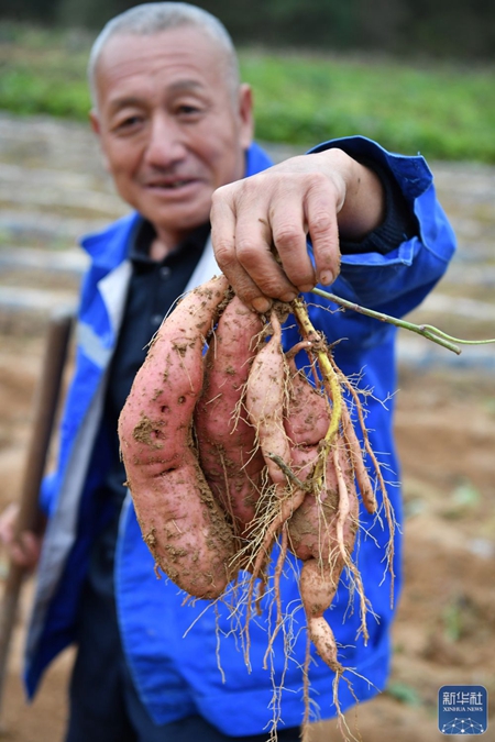 5f9a2820a6cd48fc98135fc7aa4206fd