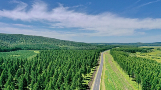 敢作敢为 善作善成——“社会主义是干出来的”系列述评之二