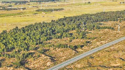 回望“十四五”，想起总书记这句话