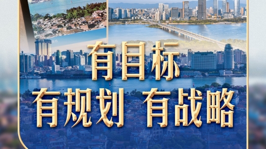 习言道｜制定这份规划，习近平称“甘抓未成之事”