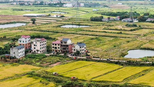 全国秋粮累计收购超3亿吨