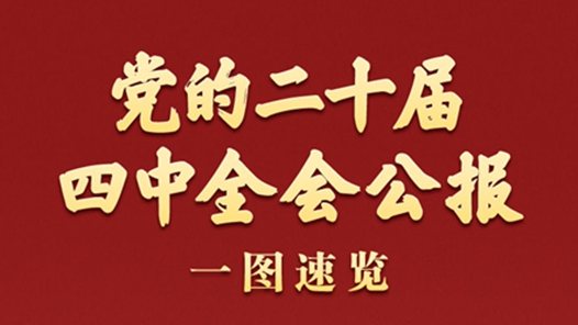 学习新语丨党的二十届四中全会公报一图速览