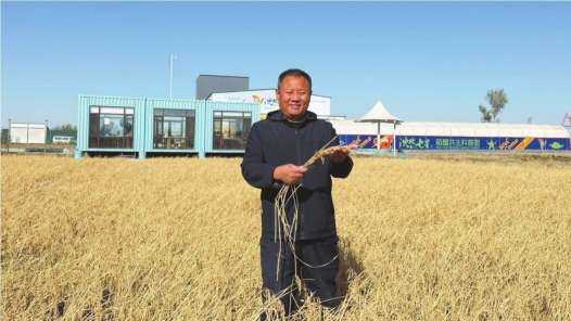 咱合作社种出的好米要卖到全国去