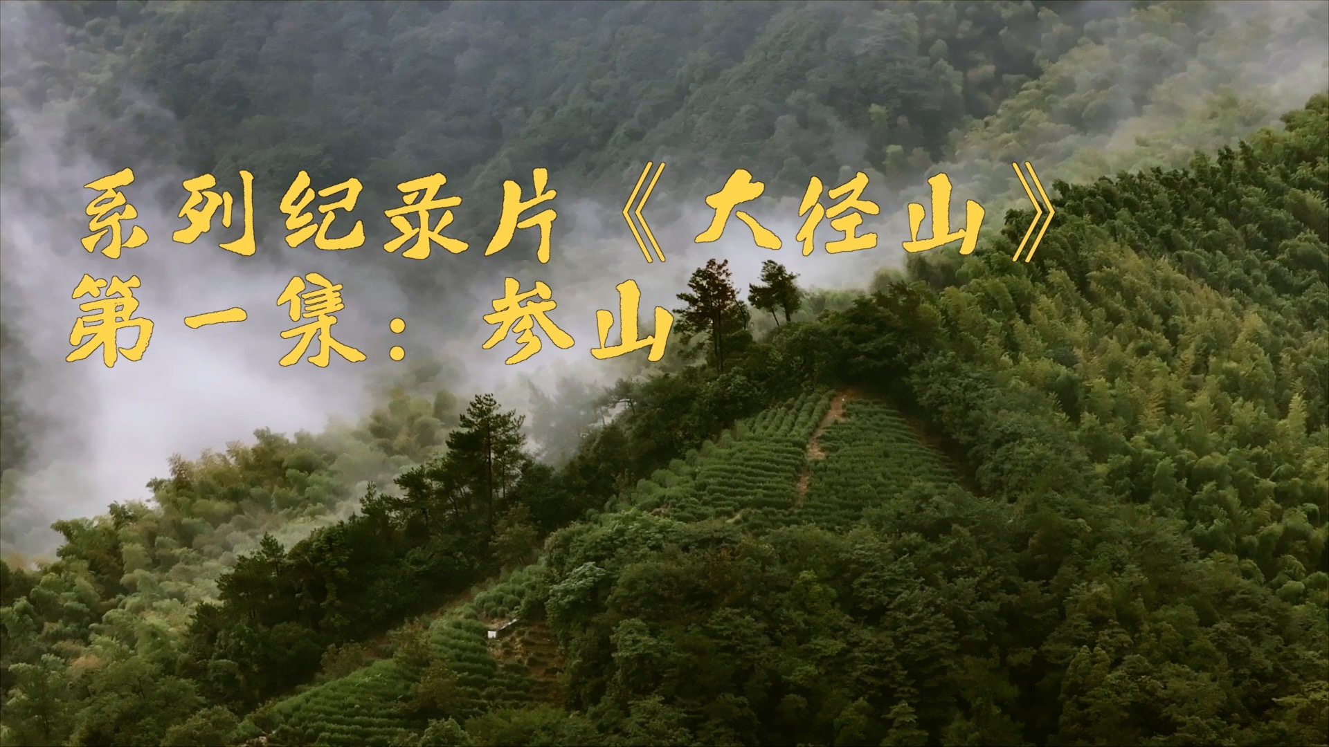 山是怎么形成的纪录片 2616566_4096x10000.jpeg